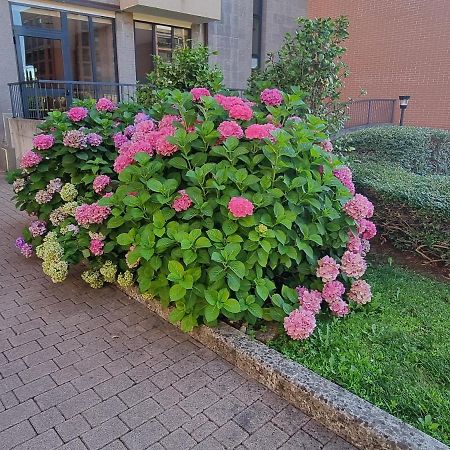 Apartamento La Casetta Di Grazia E Nino Buccinasco Exterior foto