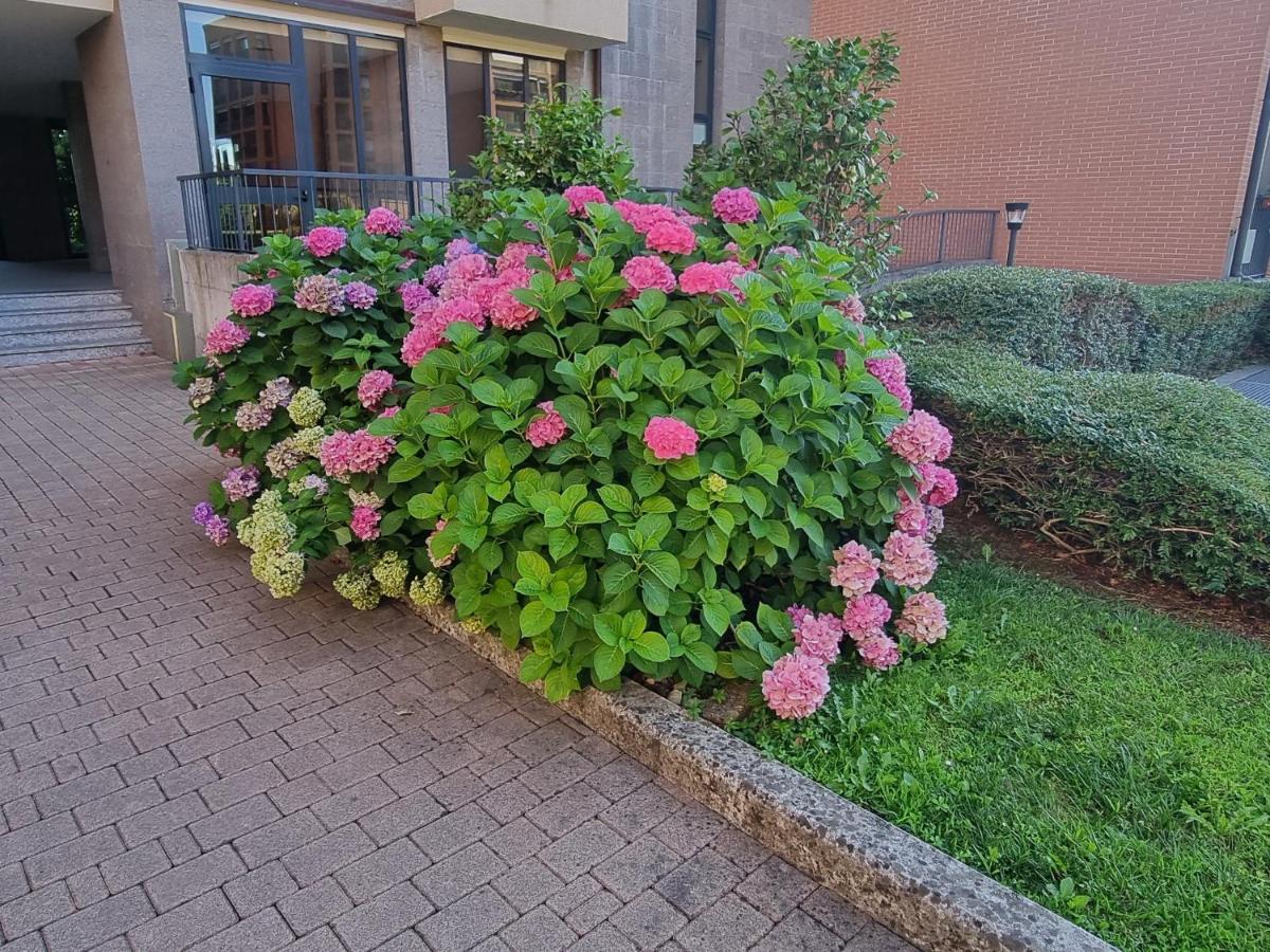Apartamento La Casetta Di Grazia E Nino Buccinasco Exterior foto